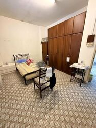 Serangoon Garden Estate (D19), Semi-Detached #613801941